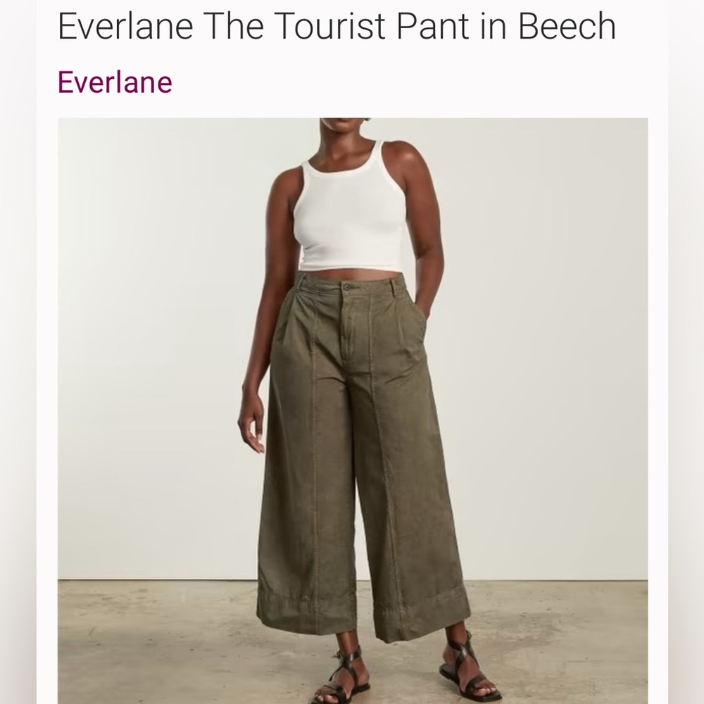 Everlane Tourist Pants in beech ( olive green) sz 0, new with tags